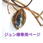 ジュン様専用ページ 