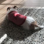 C様専用ページ