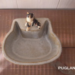 猫コザラ
