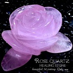 【大輪の美！】薔薇の癒石/ローズクォーツ ヒーリングストーン【極上3Dカーヴィング仕上げ✧】約61×41mm ■No.174■ 🎁専用ポーチプレゼント！🎁