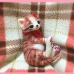 おねがいにゃんこNo.246