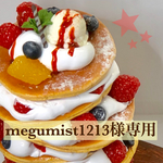 megumist1213様専用