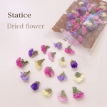 スターチス ５色 MIX♡