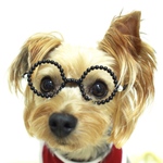 再々販  犬猫めがね  レトロ (ブラック)
