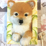 羊毛フェルト　柴犬・立体フレーム