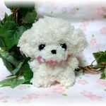 ✿あみぐるみ✿トイプードルちゃん🐩♪