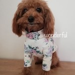 犬服　ハイネックニット《フラワー柄》キナリ