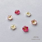 再販＊ちっちゃな梅の花ピアス