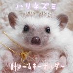 【受注生産】ハリドームキーホルダー(送料込み)