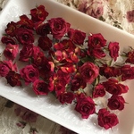 ミニ薔薇   咲き乱れ ドライフラワー★シリカゲル乾燥30輪セット★増量サービス中！★ミニバラ ★ミニローズ  