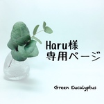 Haru様オーダー専用ページ