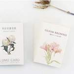 美しい庭♡　ミニギフトカード　グリーティングカード　lomo