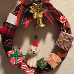 クリスマスリース☆ビジョンフリーゼ♡