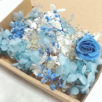 ライトブルー ハーバリウム 花材セット