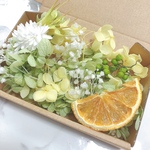 グリーン系 ハーバリウム 花材セット