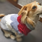 犬服＊手編みニット 北欧風ショールカラーカーディガン