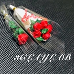 ☆送料無料☆愛を込めて花束を／赤薔薇5本花束＋赤薔薇1本