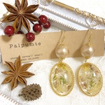 【X'mas SALE!!】ドライフラワー✻クリスマスver.ピアス/イヤリング