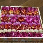 お花屋さんが作ったヘリクリサムと千日紅のドライフラワーset
