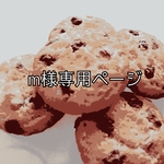 m様専用ページ♪