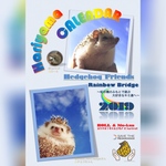 ハリネズミカレンダー はりやまカレンダー2019年版　〜お空のお友達Ver〜
