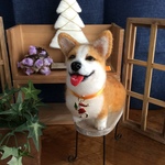 満面笑顔のご機嫌コーギー❣️