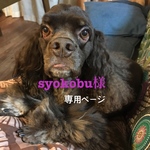 syokobu様専用ページ