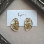 ミモザ＊ドライフラワー  ピアス/イヤリング
