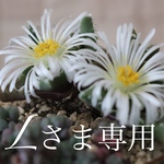 Ｌさま専用です