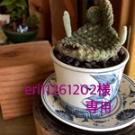 eri11261202様専用      