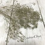 蕾かすみ草 グレーxシルバーラメ