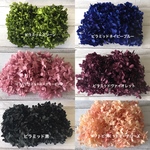 再入荷❣️色変え可♡ハーバリウム花材プリザーブドフラワーアジサイ6色小分け紫陽花