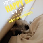 【限定販売】シュナシュナ　HAPPY BAG 3500円