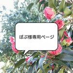 【ぽぷ様専用】