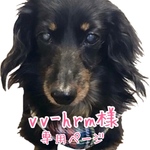 vv-hrm様 専用ページ
