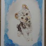 【chocobi様オーダー品】愛犬イラスト