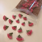 ラスト♡レア色♡スターチス オレンジ❁