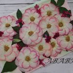 ★　ミニバラピンク　押し花素材　★