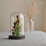 Flowerdome＊Witch's greenhouse