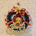 chirokun2007様専用 ダックスちゃん クリスマスリース 羊毛フェルト