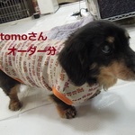 tomoさんオーダー分　ワンピ1着タンク2着部屋着1着