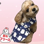 暖かぱっちん♪雪だるまちゃん（紺）