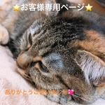 S様 お客様専用ページ