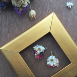 ドライフラワーピアス/イヤリング🌼アンモビューム小さめ