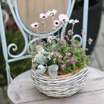 *寄せ植え*pink 