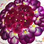 ♡new♡作家様必見♡ ♡赤花処理済み♡ ♡人気のビオラ♡押し花セット