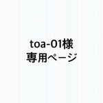 【オーダー】toa-01様専用ページ