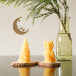 【sale】森のクリスマスコフレ