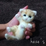 茶トラ　仔猫