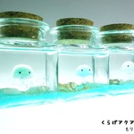 クラゲアクアリウム　ぷちくらげちゃん　コルクボトルスクエアB